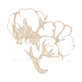 SISTAHH - Home